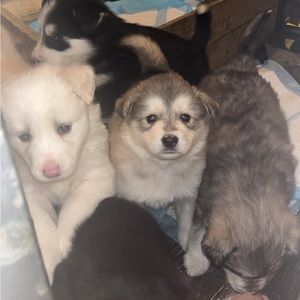 Meet your Posher, Christian